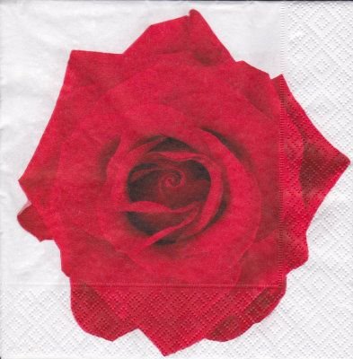 Rote Rose